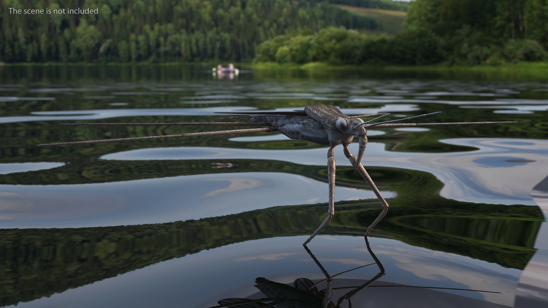 3D Water Strider Fur https://p.turbosquid.com/ts-thumb/y9/hFxtKu/gc/waterstriderfurvray3dmodel003/jpg/1695231497/1920x1080/fit_q87/ce59cdc1e7bd02e49705f7444191c5c898a6c210/waterstriderfurvray3dmodel003.jpg