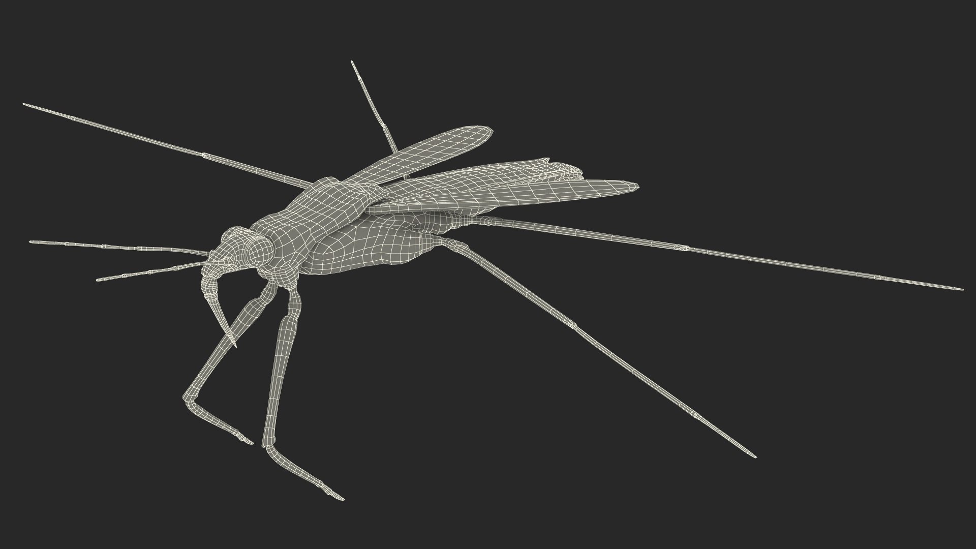 3D Water Strider Fur https://p.turbosquid.com/ts-thumb/y9/hFxtKu/ld/waterstriderfurvray3dmodel022/jpg/1695231573/1920x1080/fit_q87/bc05216fccaa67c7e7e2d8d4189e248aceeb5512/waterstriderfurvray3dmodel022.jpg