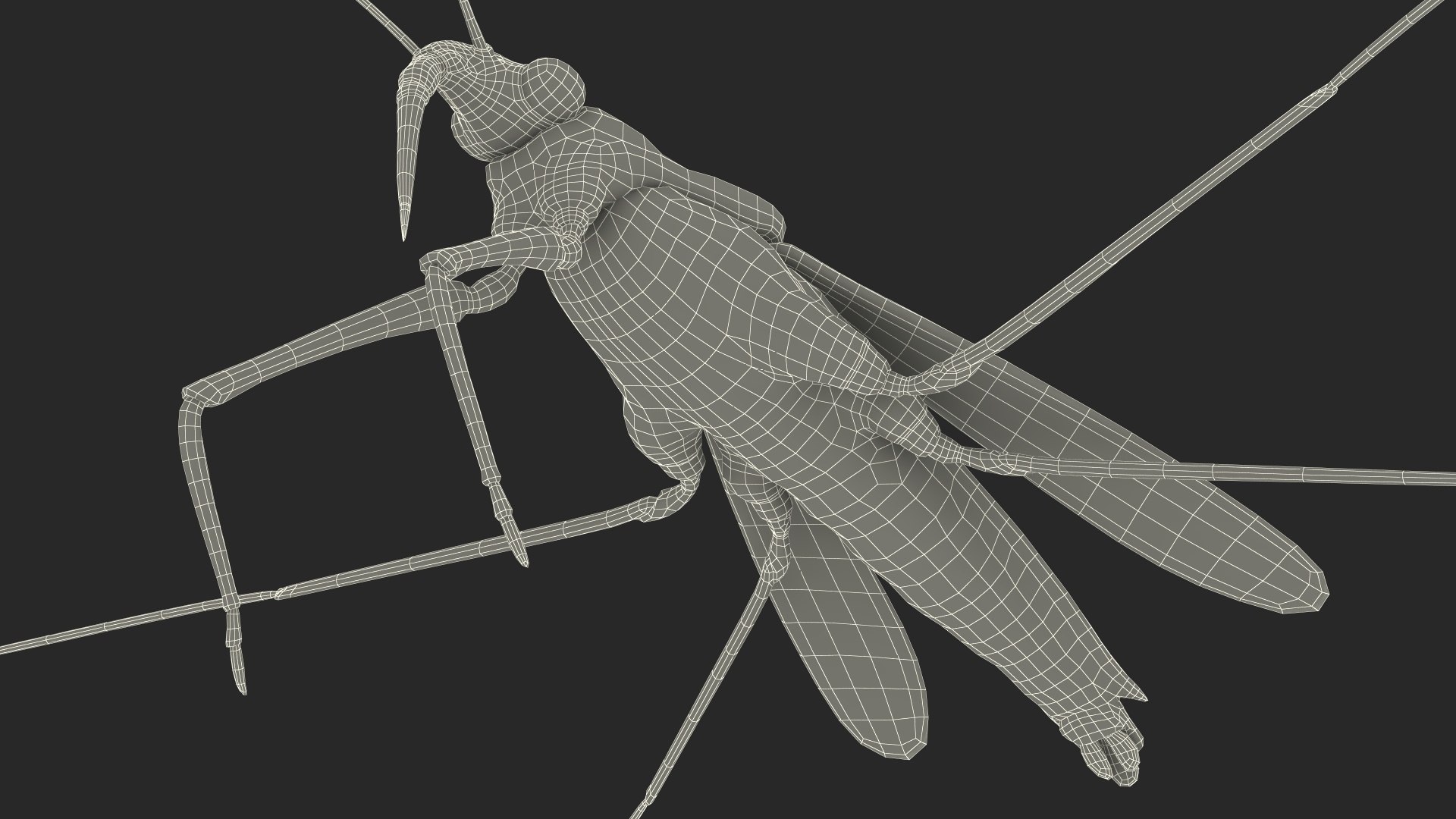 3D Water Strider Fur https://p.turbosquid.com/ts-thumb/y9/hFxtKu/pq/waterstriderfurvray3dmodel025/jpg/1695231583/1920x1080/fit_q87/7d90407fd96d5a7cbc56b0942d92e13d6af94fe1/waterstriderfurvray3dmodel025.jpg