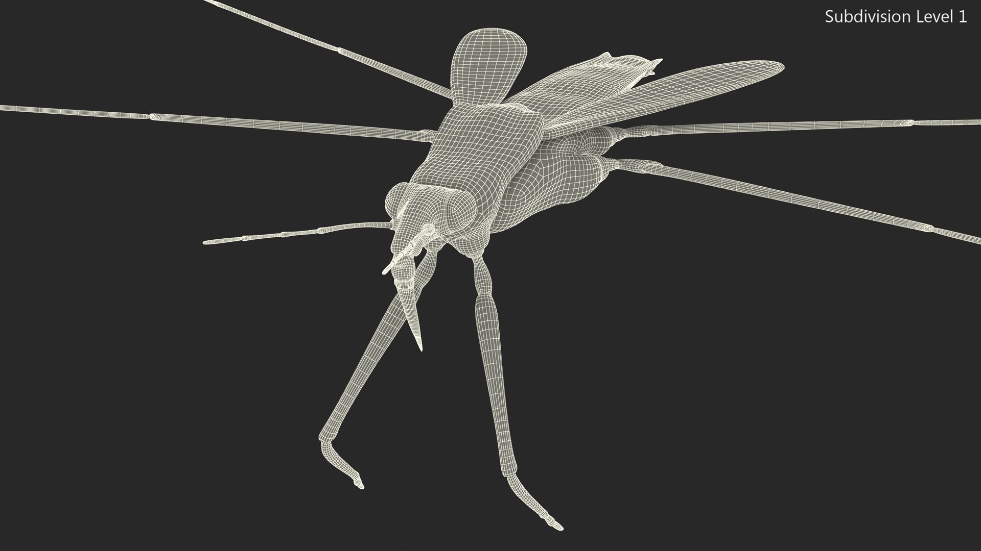 3D Water Strider Fur https://p.turbosquid.com/ts-thumb/y9/hFxtKu/ur/waterstriderfurvray3dmodel018/jpg/1695231558/1920x1080/fit_q87/8b5f3595937e4b06552ba72af3beddd6905f3cf3/waterstriderfurvray3dmodel018.jpg