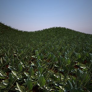 grass plantain model