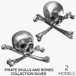 3D Pirate Skulls and Bones Collection - Silver - 2 models
