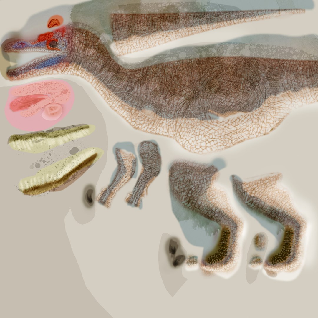 3D Baryonyx - TurboSquid 1824271
