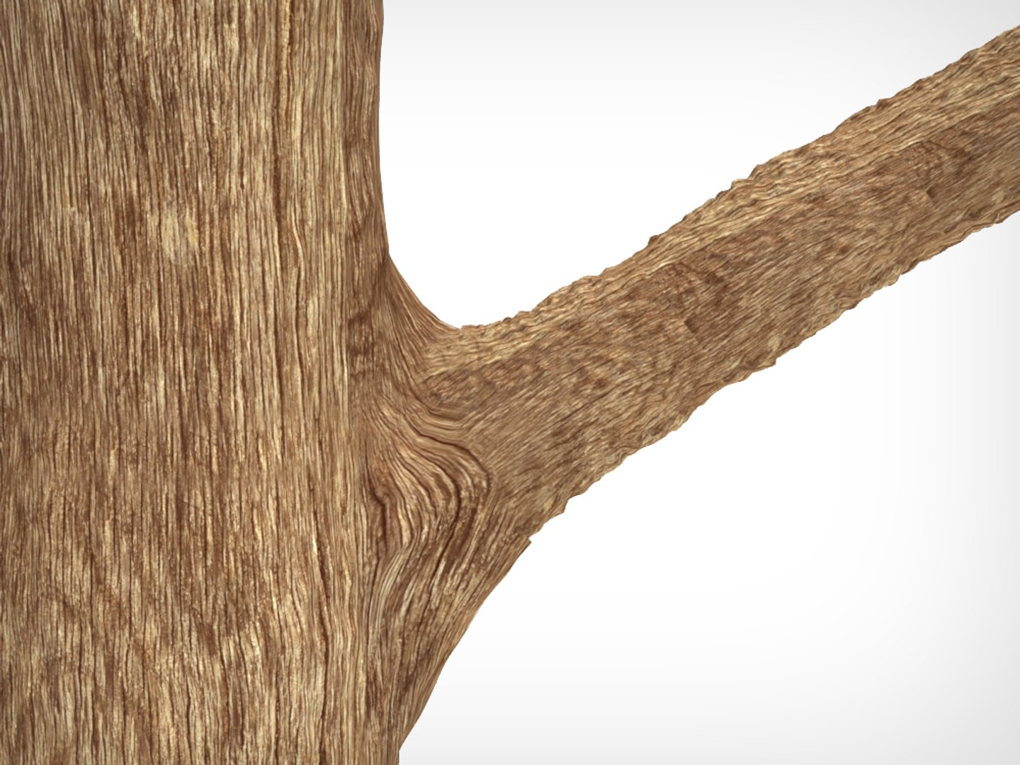 3d tree model https://p.turbosquid.com/ts-thumb/y9/uPBLuV/rzuHlOLe/r2_2/jpg/1473963292/1920x1080/fit_q87/f412e39b3207372086e96ac2b0e1d7b9e6f3bdaf/r2_2.jpg