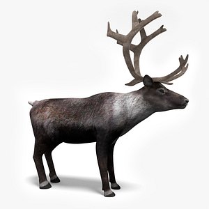 3dmax reindeer deer