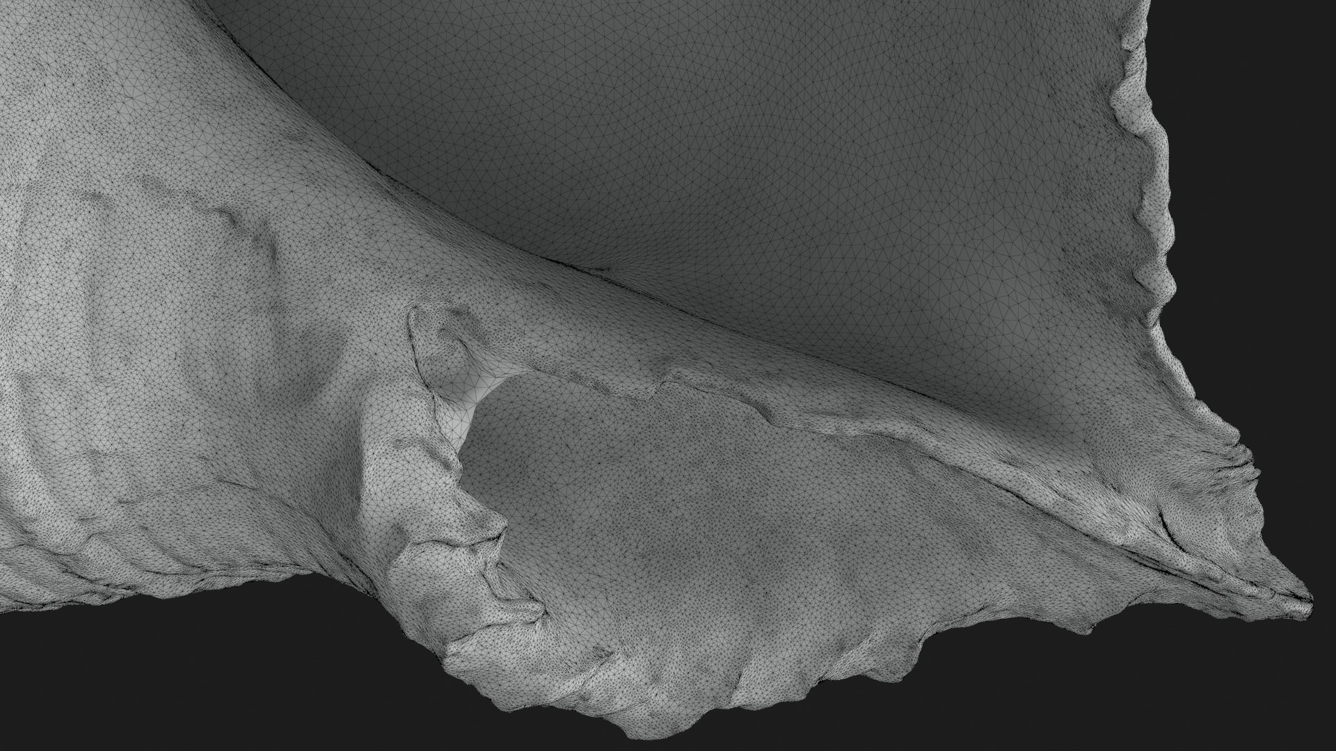 Rapana Rapiformis 2 Scan 3D https://p.turbosquid.com/ts-thumb/yA/45Rk1P/0h/rapanarapiformis1_g0001/jpg/1718519563/1920x1080/fit_q87/d31e734516f9e9dd68da3c0ecd9b2787a3cbc1f3/rapanarapiformis1_g0001.jpg
