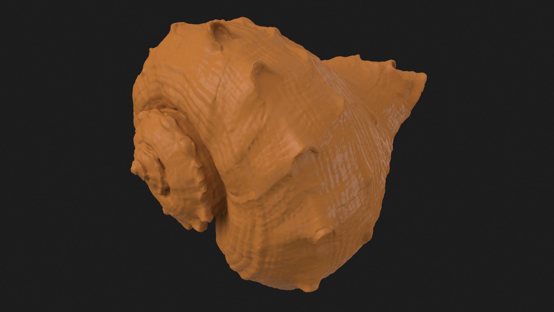 Rapana Rapiformis 2 Scan 3D https://p.turbosquid.com/ts-thumb/yA/45Rk1P/7s/rapanarapiformis1_b0006/jpg/1718519556/1920x1080/fit_q87/4cb73518fe799b36c05e4274818803c8fd2239c3/rapanarapiformis1_b0006.jpg