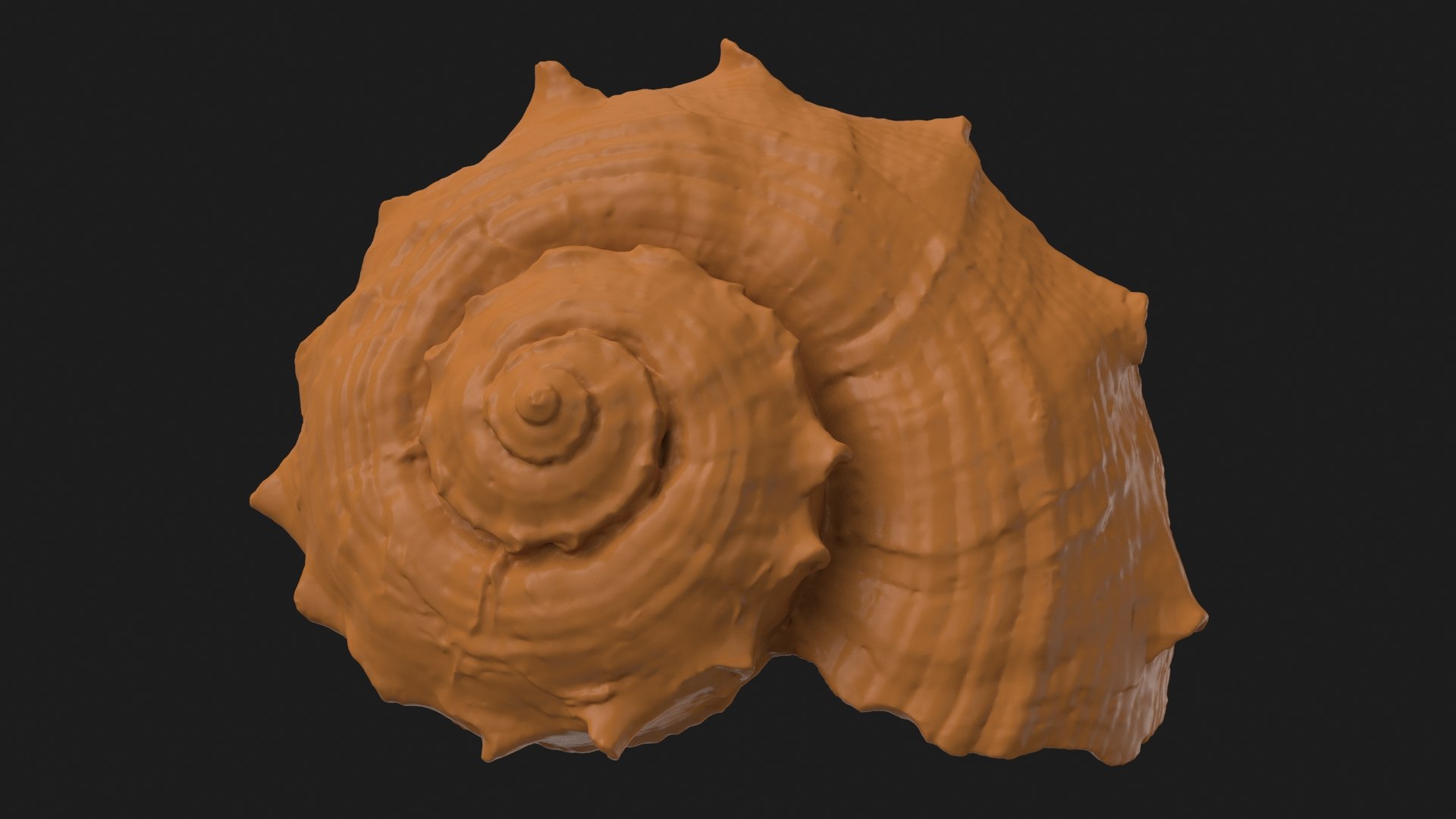 Rapana Rapiformis 2 Scan 3D https://p.turbosquid.com/ts-thumb/yA/45Rk1P/8r/rapanarapiformis1_b0004/jpg/1718519555/1920x1080/fit_q87/167d34a35496090065a94e5dcd22b4db0528ee62/rapanarapiformis1_b0004.jpg
