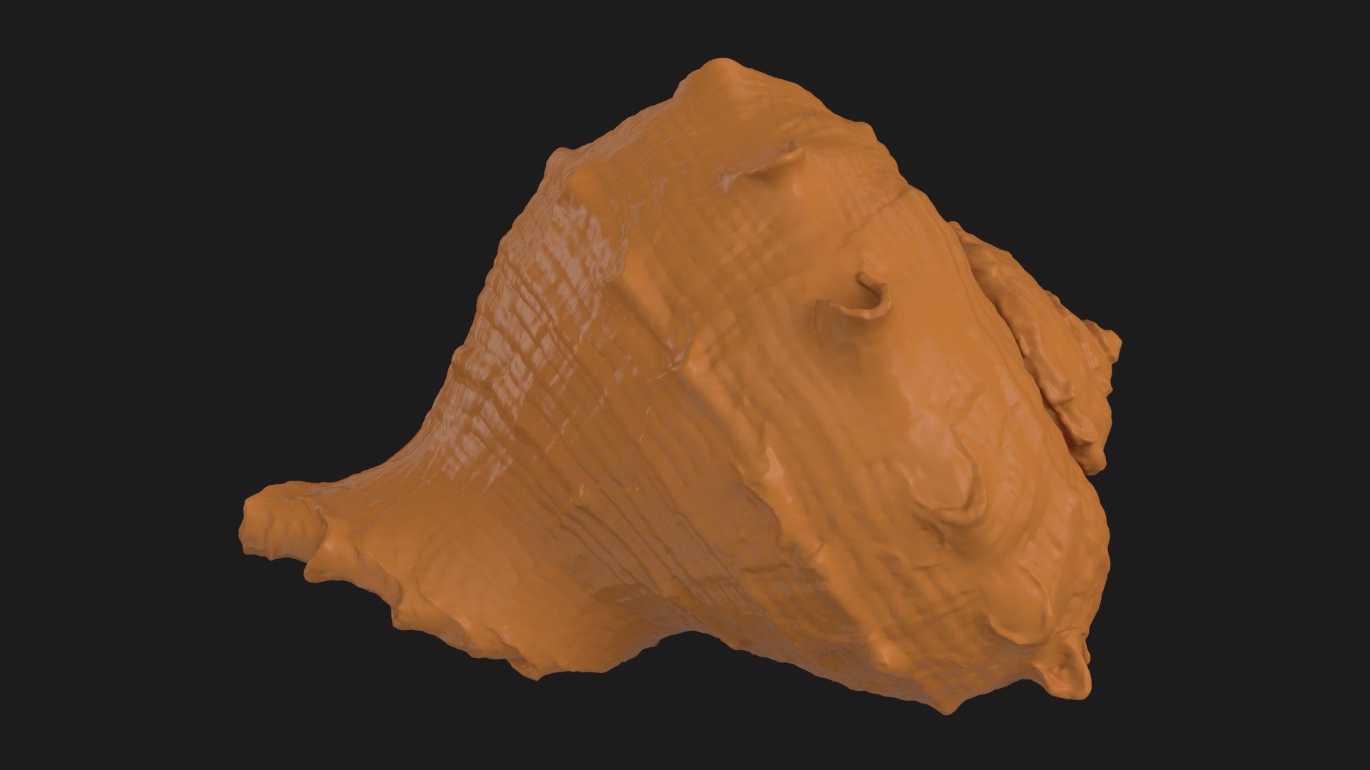 Rapana Rapiformis 2 Scan 3D https://p.turbosquid.com/ts-thumb/yA/45Rk1P/9G/rapanarapiformis1_b0002/jpg/1718519554/1920x1080/fit_q87/062b910780bf2b77e2af1a62af18ac602454a2fe/rapanarapiformis1_b0002.jpg