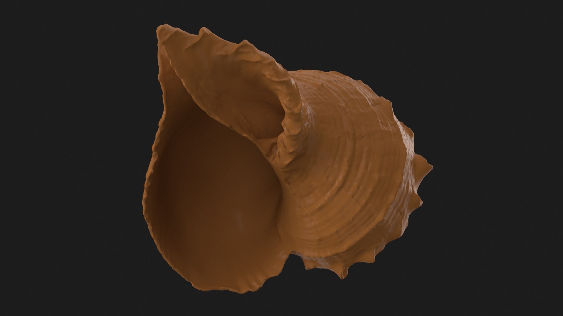 Rapana Rapiformis 2 Scan 3D https://p.turbosquid.com/ts-thumb/yA/45Rk1P/AZ/rapanarapiformis1_b0020/jpg/1718519561/1920x1080/fit_q87/1f00550b6f98c7b9df2aca0fb9d8bea9028a4375/rapanarapiformis1_b0020.jpg
