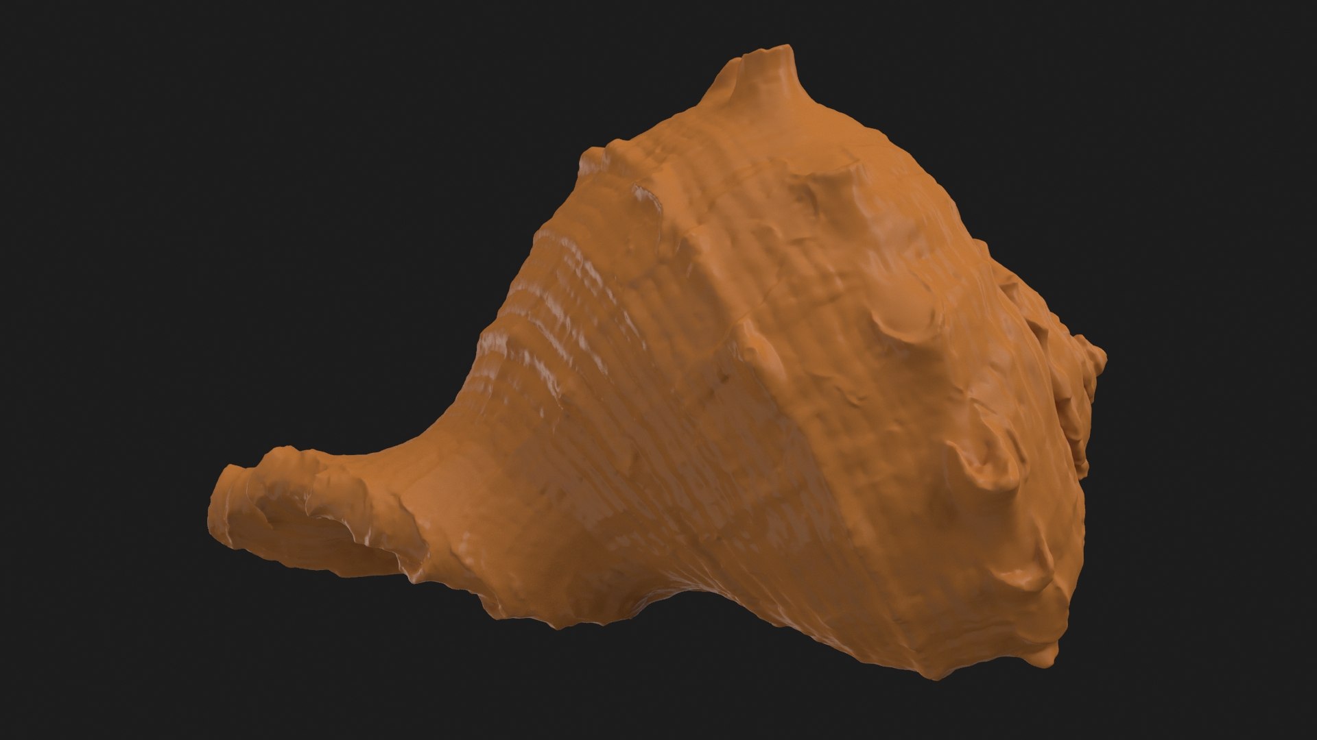 Rapana Rapiformis 2 Scan 3D https://p.turbosquid.com/ts-thumb/yA/45Rk1P/Gy/rapanarapiformis1_b0008/jpg/1718519556/1920x1080/fit_q87/d437a9b79d0ebf35a1b27ea8996026d70b50c2a1/rapanarapiformis1_b0008.jpg