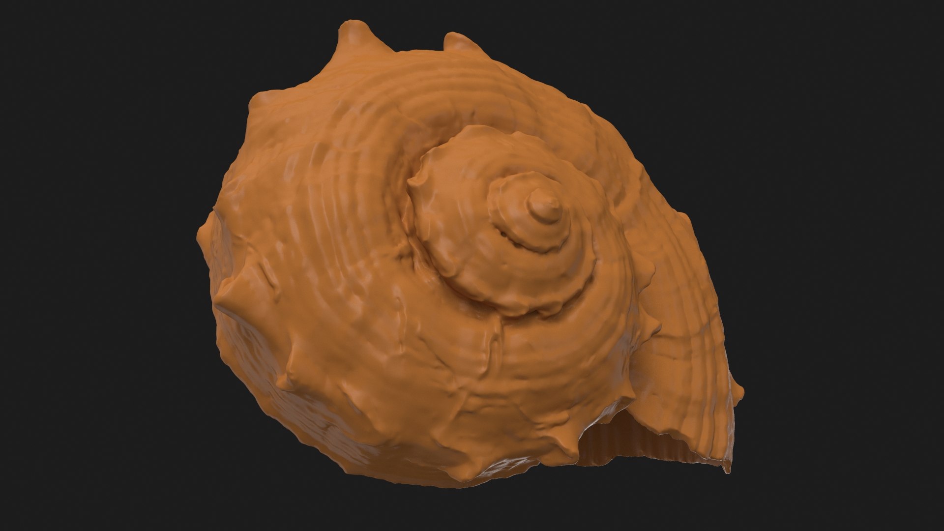 Rapana Rapiformis 2 Scan 3D https://p.turbosquid.com/ts-thumb/yA/45Rk1P/f8/rapanarapiformis1_b0010/jpg/1718519557/1920x1080/fit_q87/8f664cc9cced18059895217ca512ff7b77b4662b/rapanarapiformis1_b0010.jpg