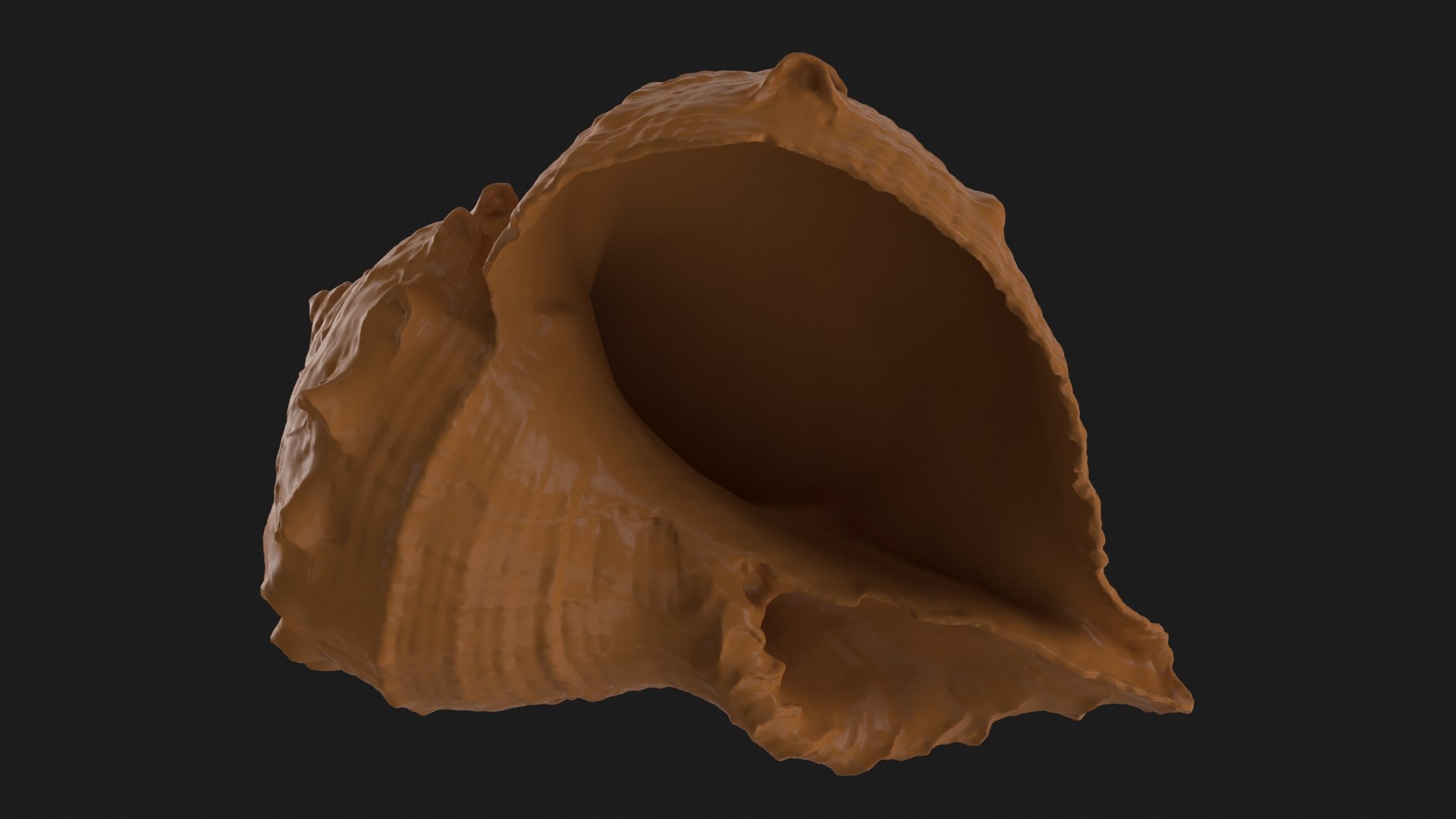 Rapana Rapiformis 2 Scan 3D https://p.turbosquid.com/ts-thumb/yA/45Rk1P/j6/rapanarapiformis1_b0022/jpg/1718519561/1920x1080/fit_q87/85d93ef36ff2fd67a85626761771232c0db5062d/rapanarapiformis1_b0022.jpg