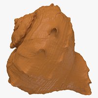 Rapana Rapiformis 2 for 3D Print