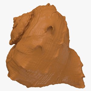 Rapana Rapiformis 2 for 3D Print