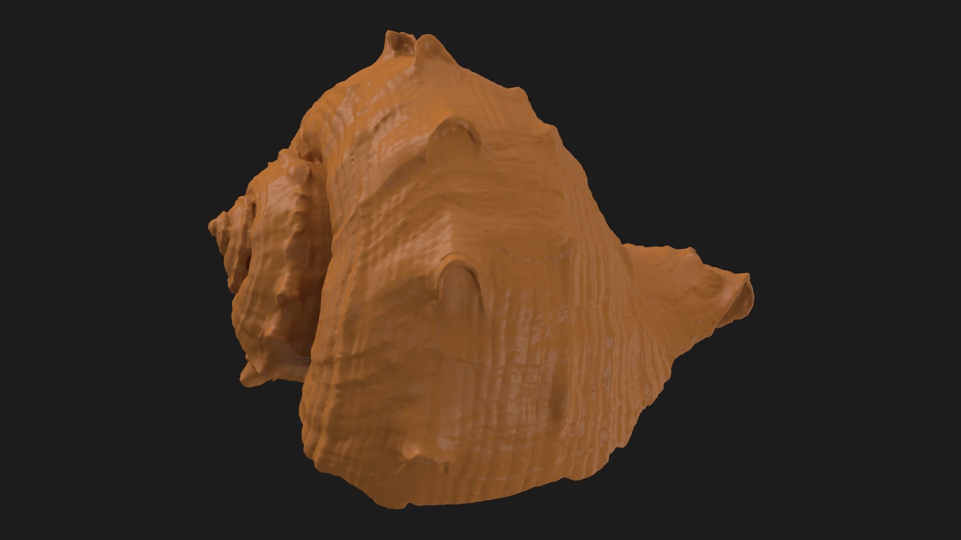 Rapana Rapiformis 2 Scan 3D https://p.turbosquid.com/ts-thumb/yA/45Rk1P/uU/rapanarapiformis1_b0000/jpg/1718519554/1920x1080/fit_q87/f48159a979be9c8a527dccbecab36b1e2462eee6/rapanarapiformis1_b0000.jpg