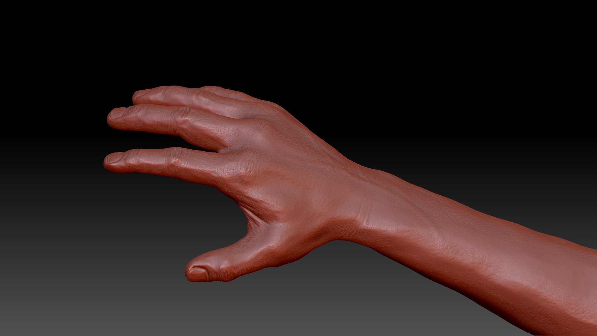 Hand LowPoly And HiPoly 3D Model - TurboSquid 1979582