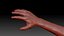 Hand lowPoly and hiPoly