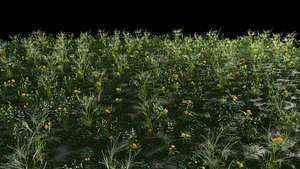 grass archive 3D model