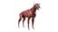 Dog Canine Complete Anatomy 3D Model Skeletal Muscular  Nervous System