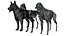 Dog Canine Complete Anatomy 3D Model Skeletal Muscular  Nervous System