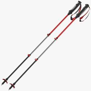 3D Hiking Or Ski Pole 01 model