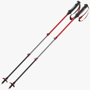 Hiking Or Ski Pole 01