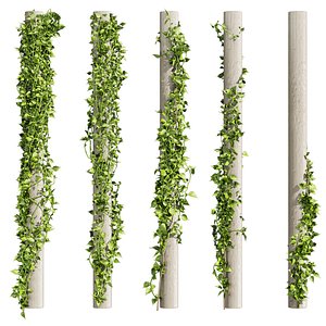 3D Collection plant vol 421 - pothos - outdoor - leaf - fitowall - ivy - 3dmax - cinema 4d