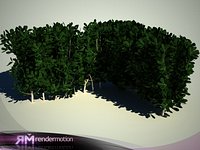 D2.C1.07(2) Corner Clove bush(L Shape)-Arbusto Clavo de esquina(Forma de L)