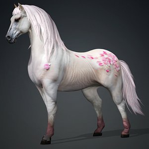 Horse-B5 3D
