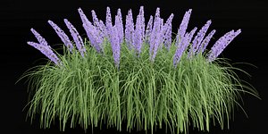 flowering bushes vol 31-Blender 3D model