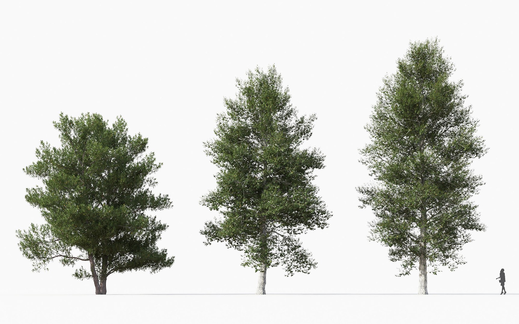 Tree Includes Growfx Files Model - TurboSquid 1650696