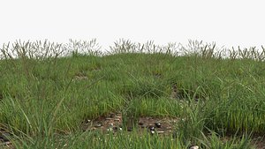 Grass Field PBR 001 (Collection)