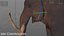3D mammuthus columbi anatomy pack model