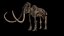 3D mammuthus columbi anatomy pack model
