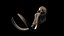 3D mammuthus columbi anatomy pack model