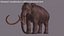 3D mammuthus columbi anatomy pack model