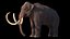 3D mammuthus columbi anatomy pack model