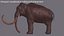3D mammuthus columbi anatomy pack model