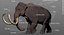 3D mammuthus columbi anatomy pack model