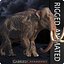3D mammuthus columbi anatomy pack model
