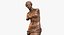 Vénus de Milo Bronze imprimable