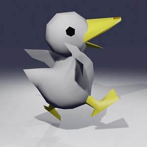 Steamer Duck