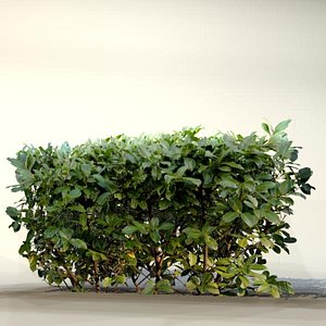 3d model of pc bush