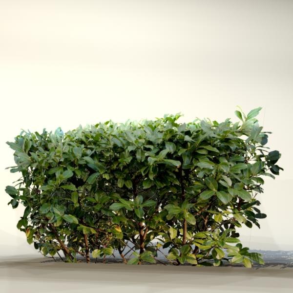 pc bush 3d model