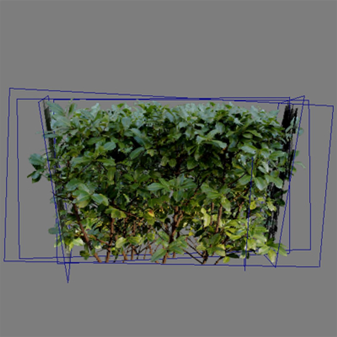 3d model of pc bush https://p.turbosquid.com/ts-thumb/yB/06YAh4/tHFiR6PZ/bush_058_wire/jpg/1297269490/1920x1080/fit_q87/4653c8efebdad57220e25aa286c30feaf7844396/bush_058_wire.jpg
