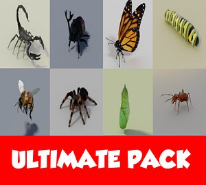 Insects ULTIMATE PACK