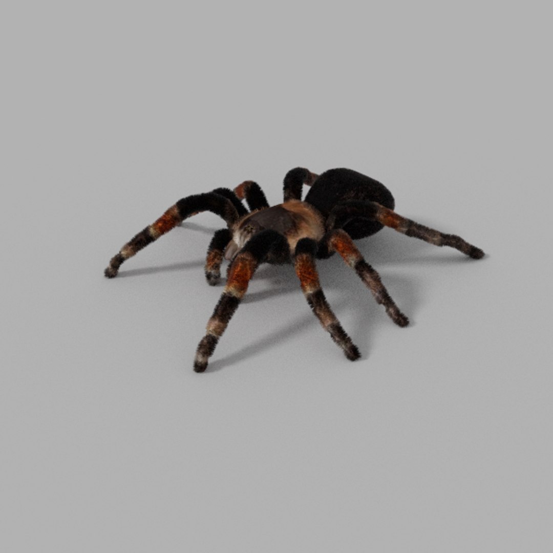 Blend Ultimate Insects Pack