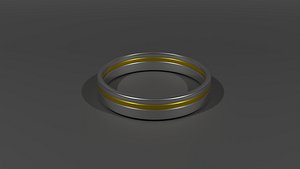Minimalist Ring 3D model