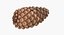 closed pine cone 3ds